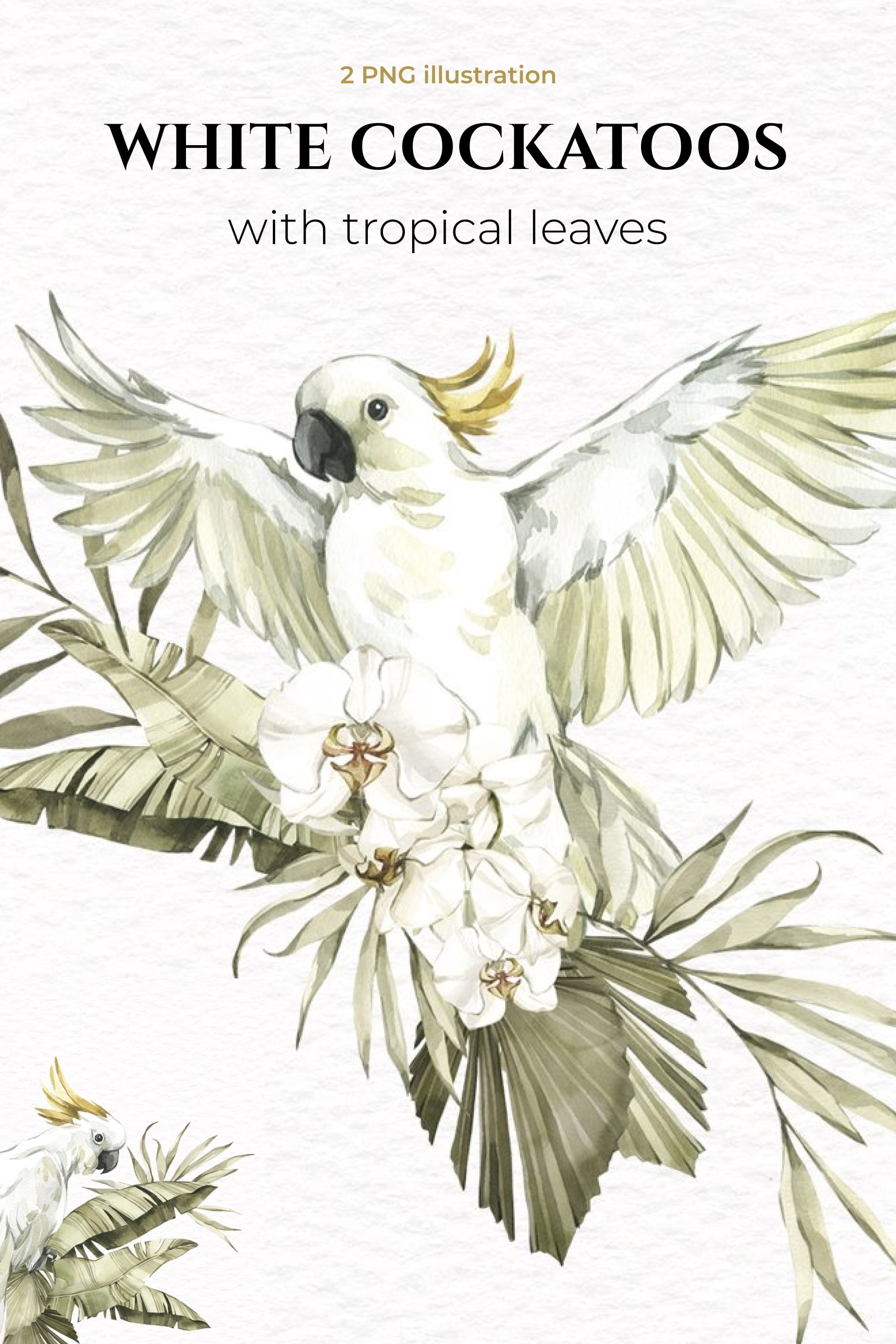 white cockatoos with tropical leaves pinterest min