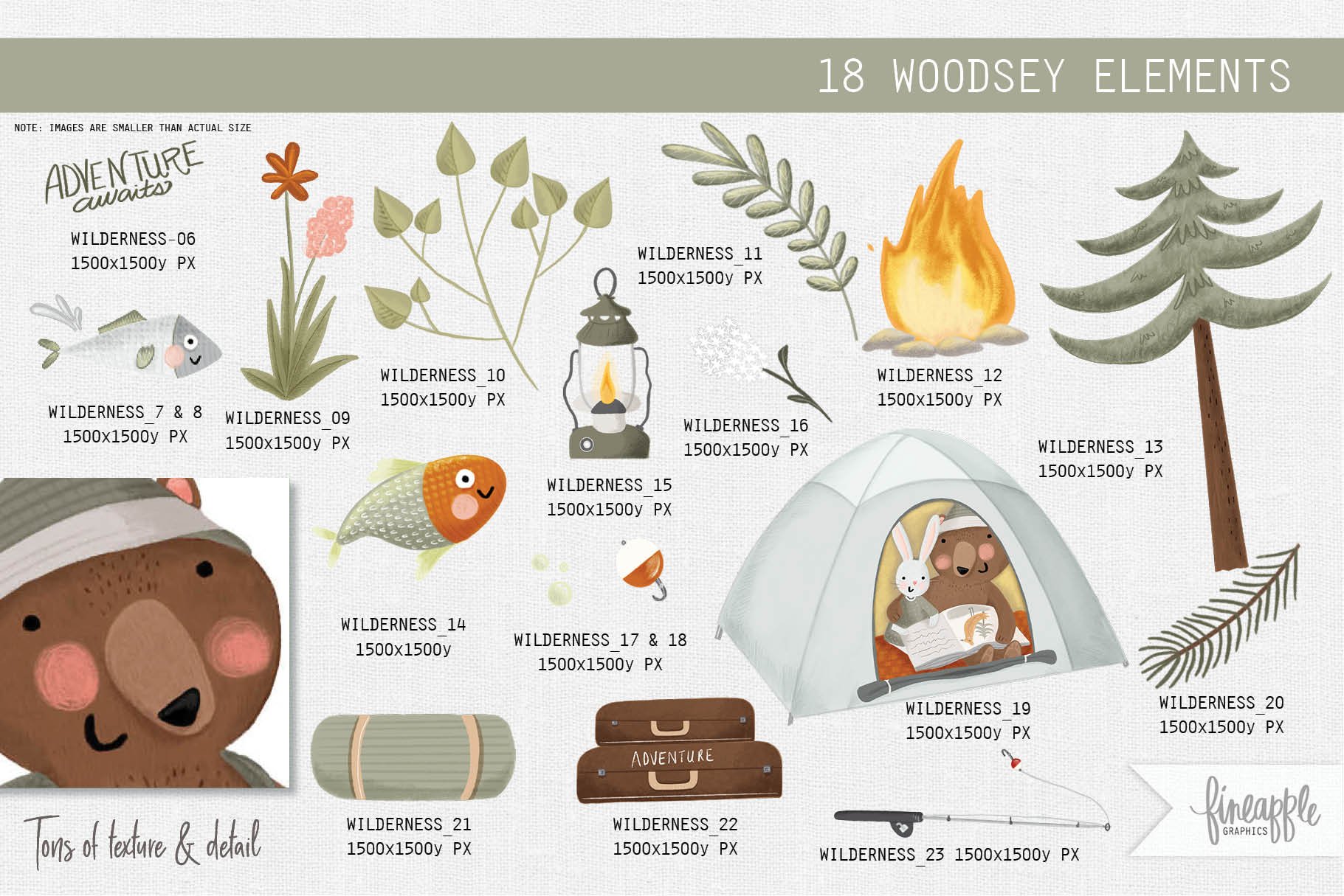 Necessary elements for camping composition.