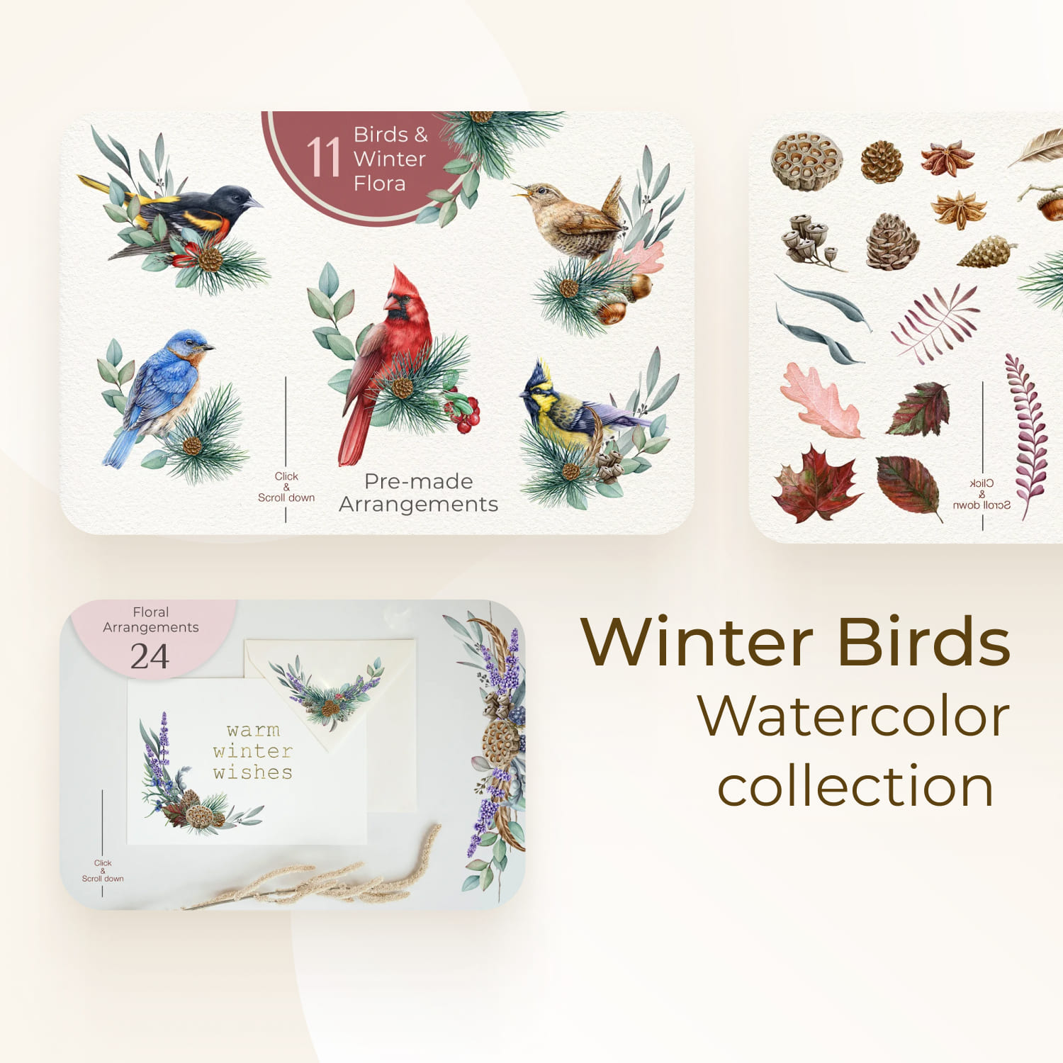 Winter Birds - Watercolor collection.