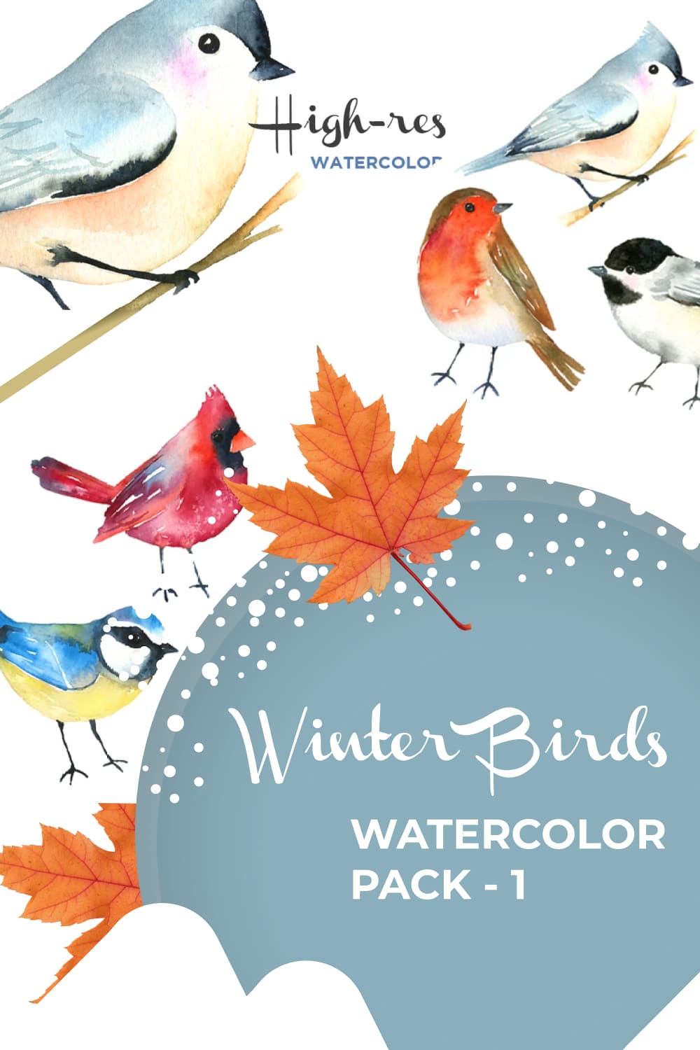 winter birds watercolor pack 1000x1500 1