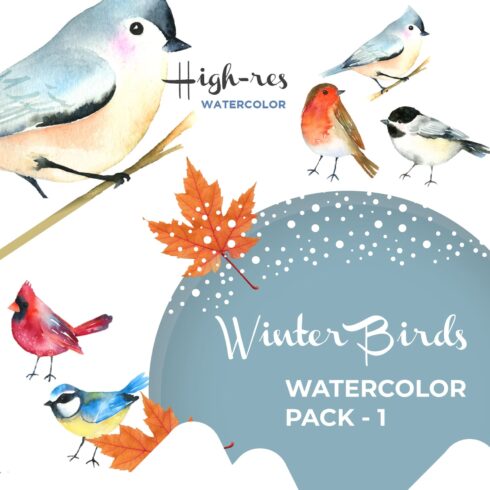 Winter Birds Watercolor Pack - 1.