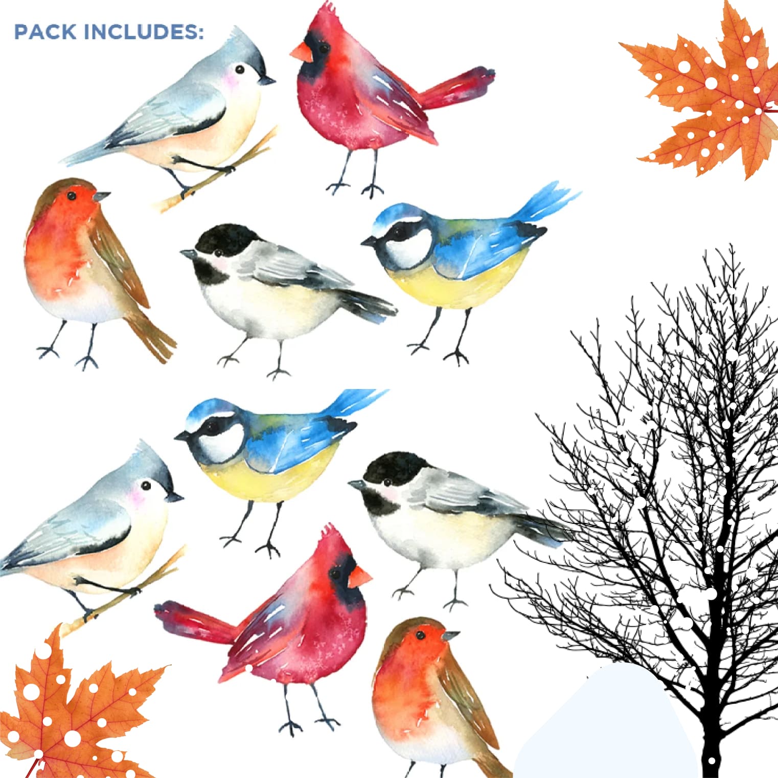 Winter Birds Watercolor Pack - 1 cover.