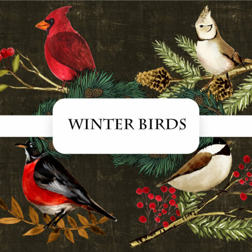 Winter birds.