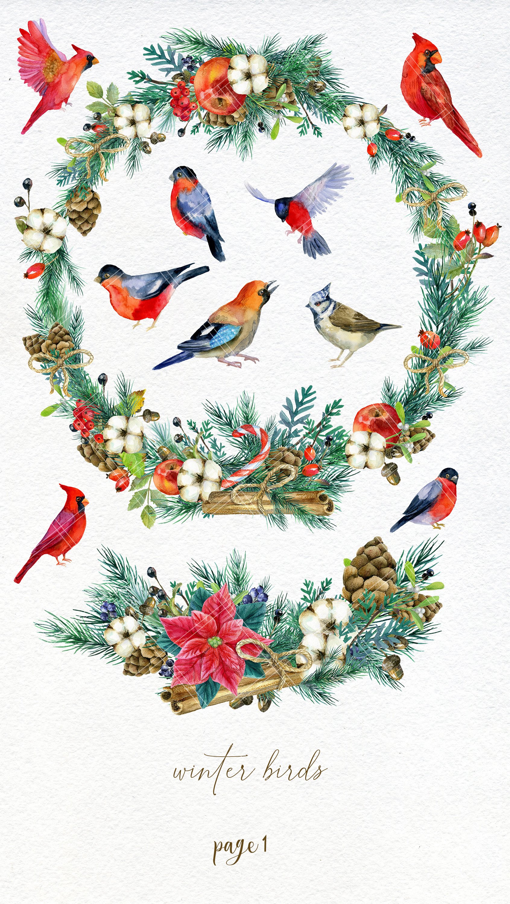 Cool winter birds with wreathes.