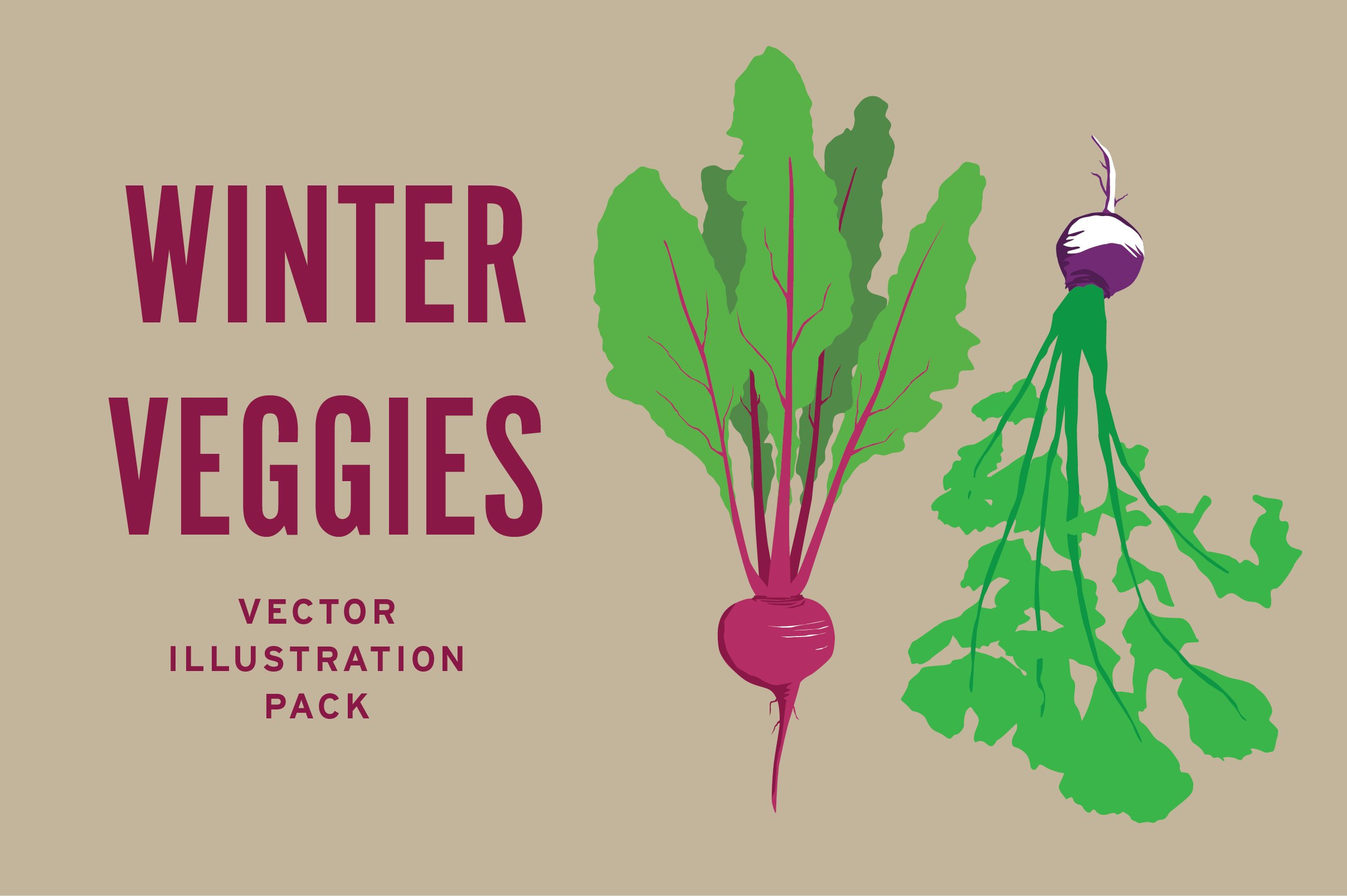Winter veggies illustrations.
