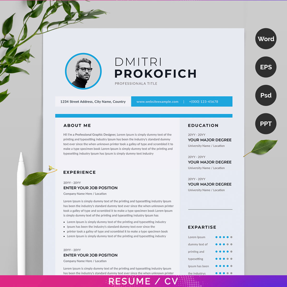 Professional resume template with a blue and white color scheme.