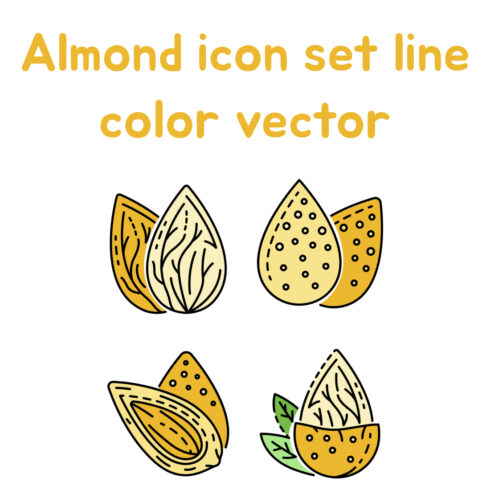 Almond icon set line color vector.