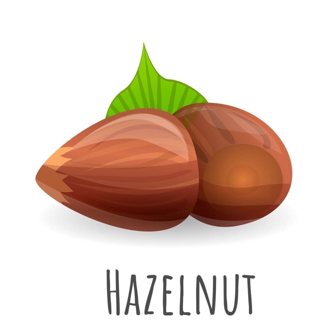 Hazelnut Icon, Cartoon Style.