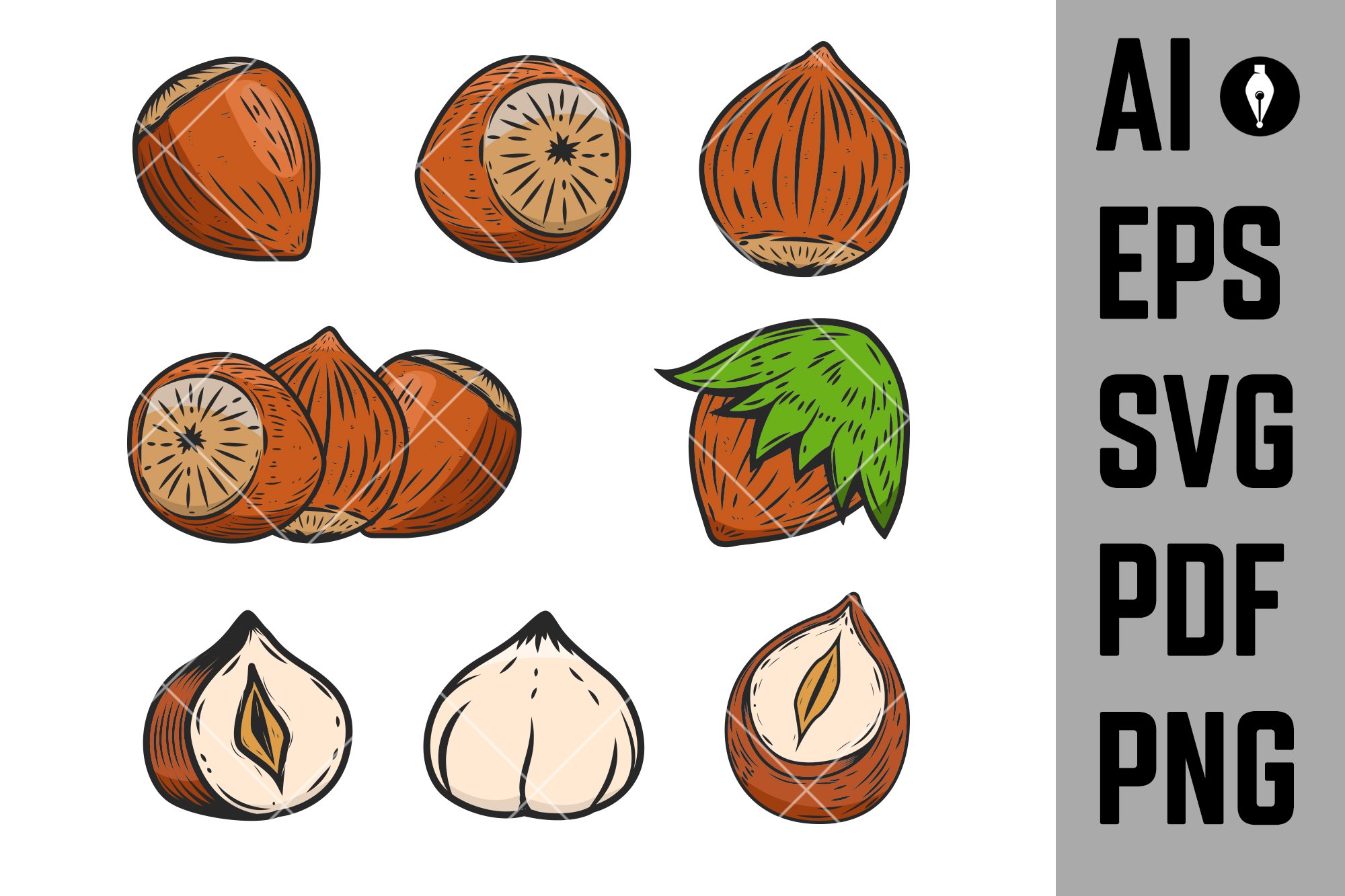 A set of 8 different illustrations of a hazelnut on a white background.
