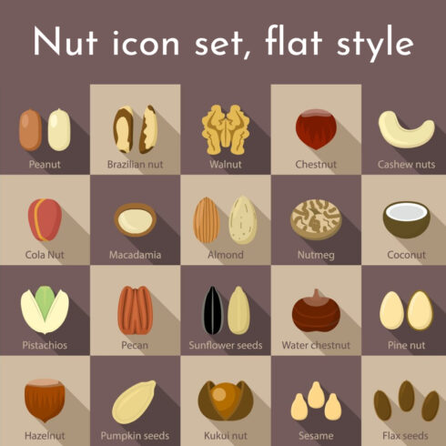 Nut icon set, flat style.