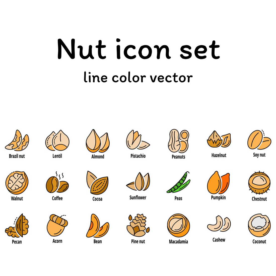 Nut icon set line color vector.