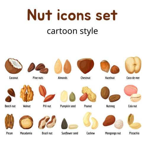 Nut icons set, cartoon style.