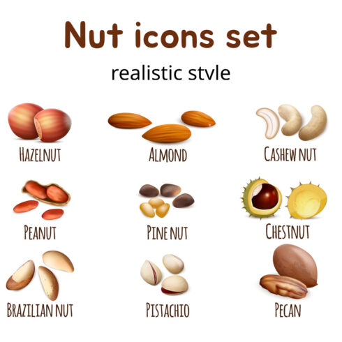 Nut icons set, realistic style.