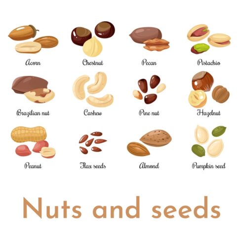 Nuts And Seeds. Almond And Pistachio, Acorn And Peanut, Chestnut, And Pecan.