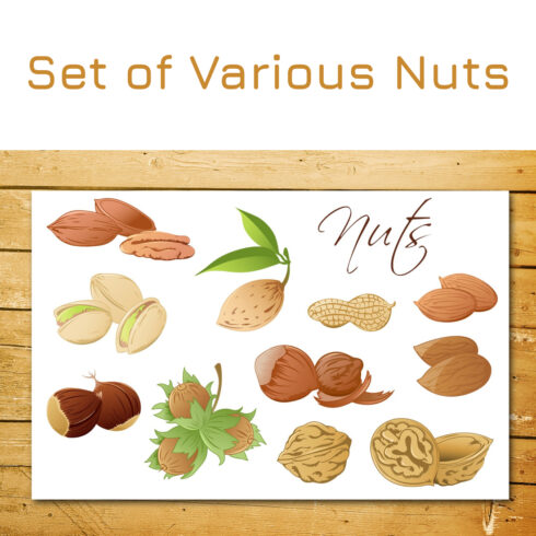 Set of Various Nuts.