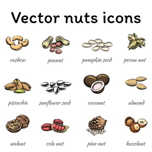 Vector nuts icons.