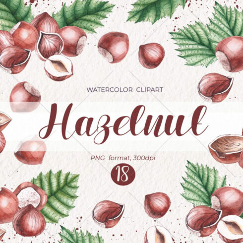 Watercolor Hazelnuts / Watercolor Clipart Png.