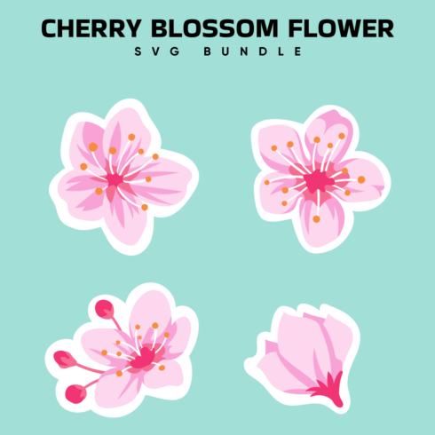 Cherry blossom flower svg.