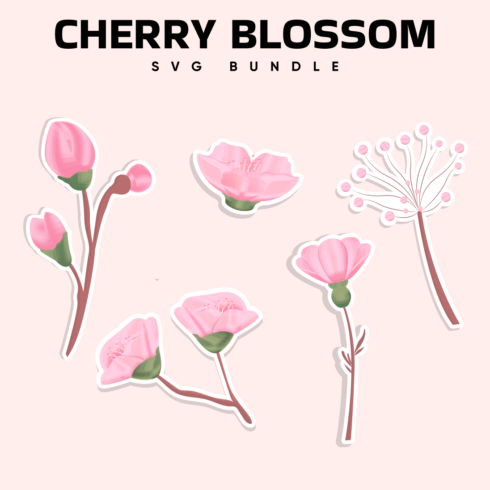 cherry blossom svg free.