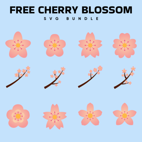 Cherry Blossom Flowers SVG.