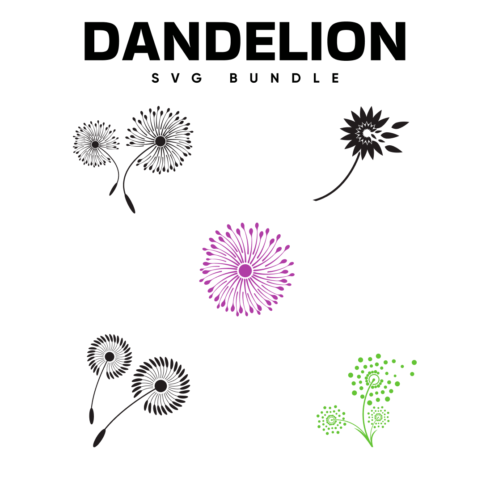 free dandelion svg.