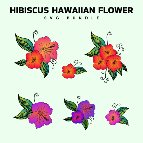hibiscus hawaiian flower svg.