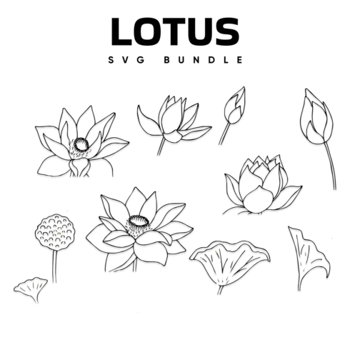 Lotus SVG.