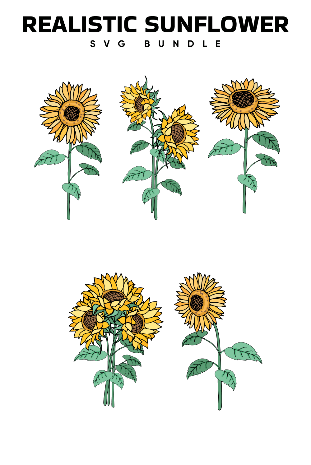 01. realistic sunflower svg bundle 1000 x 1500 833