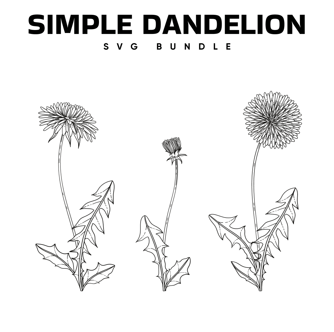 simple dandelion svg.