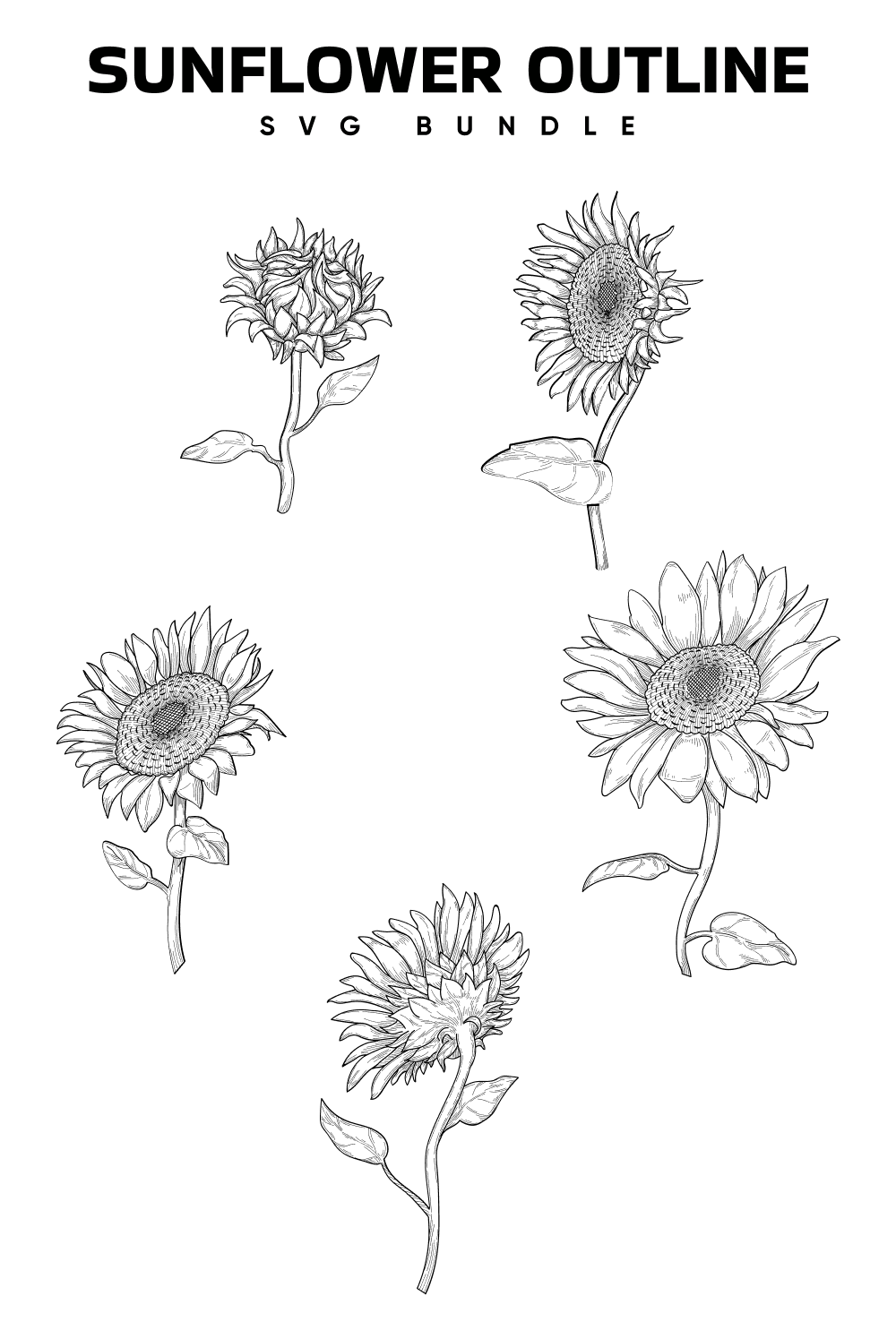 01. sunflower outline svg bundle 1000 x 1500 801