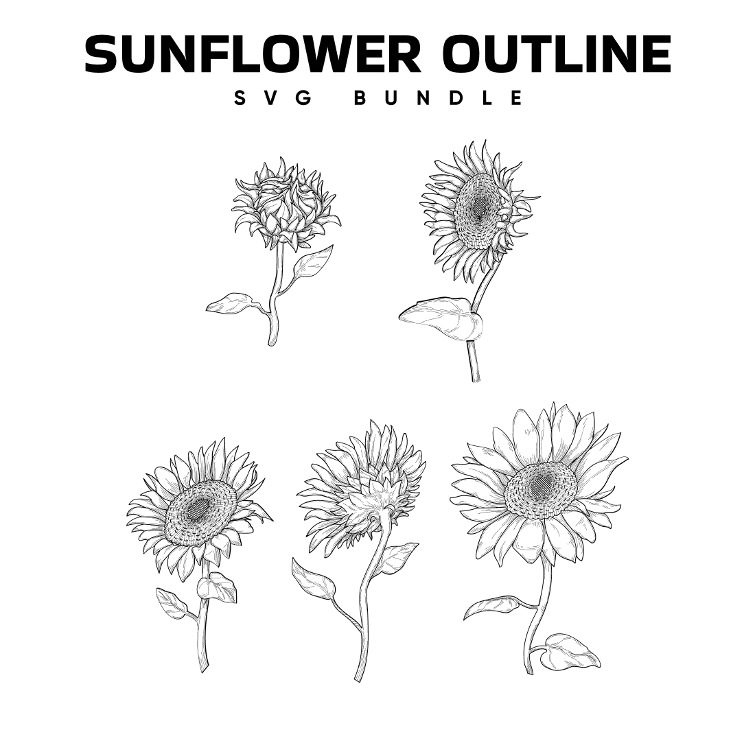 Sunflower Outline SVG.