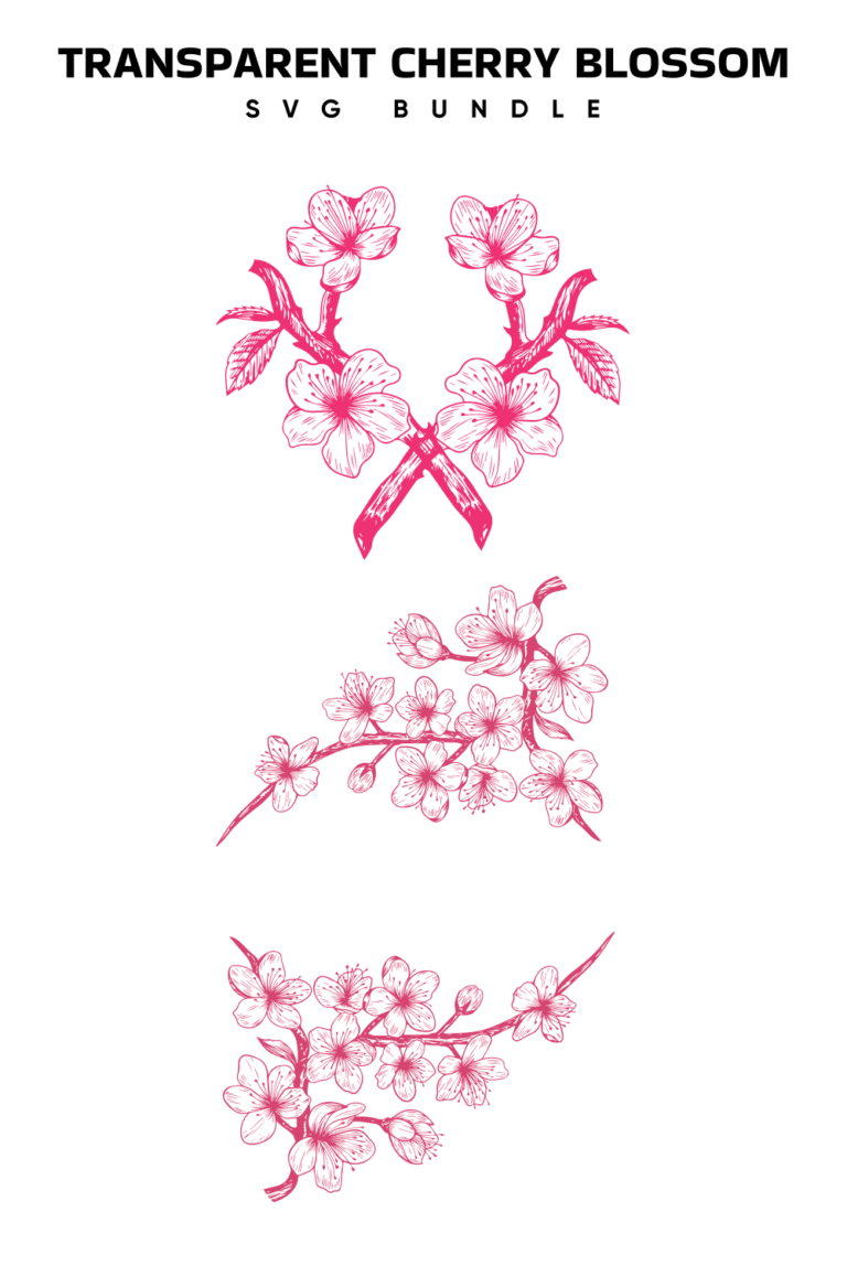 Transparent Cherry Blossom SVG – MasterBundles