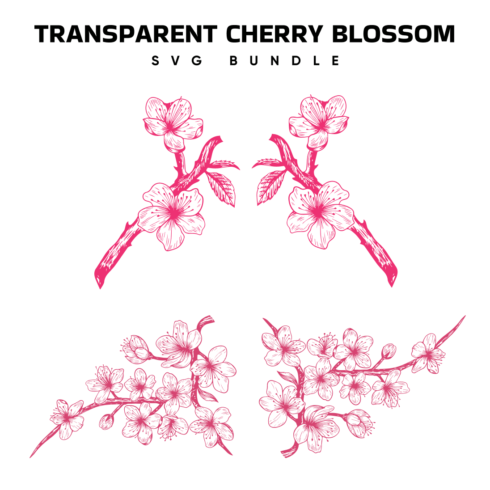 Transparent cherry blossom svg.