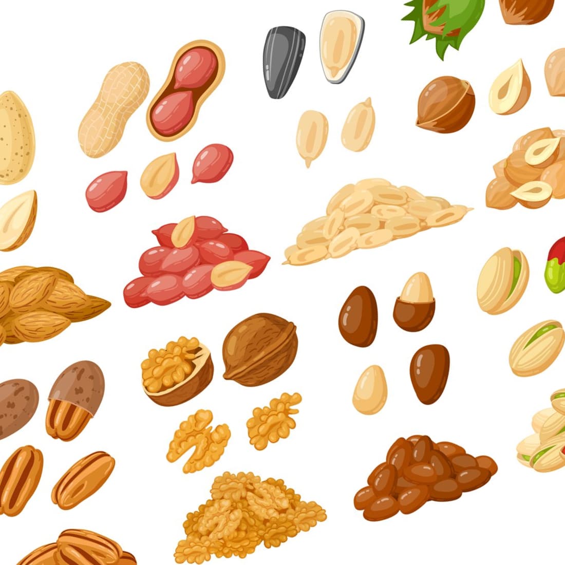Cartoon Nuts. Almond, Peanut, Cashew, Hazelnut Nuts, Sunflow Cover.
