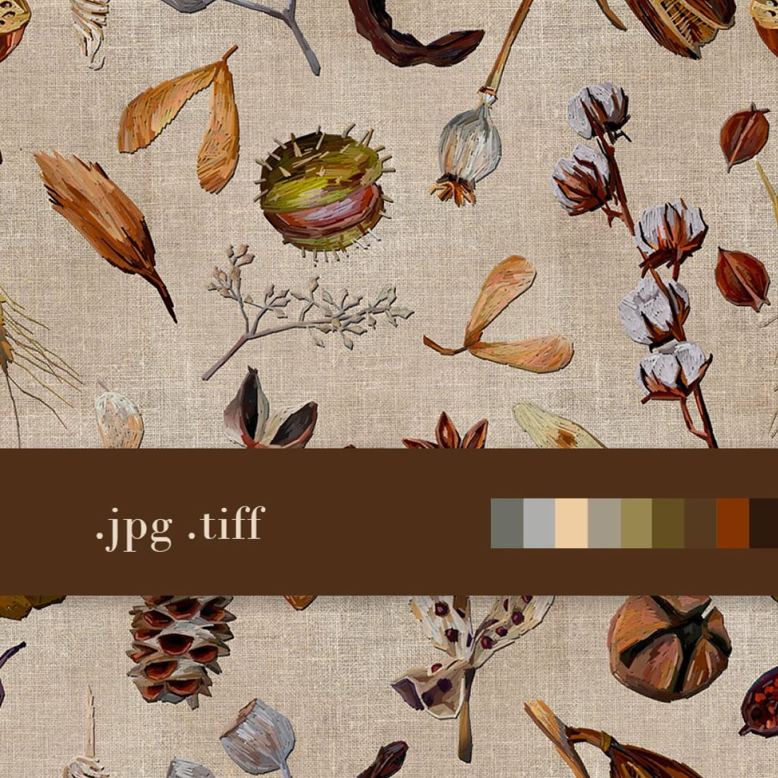 Fall seamless pattern, autumn floral elements , seed pods cover.