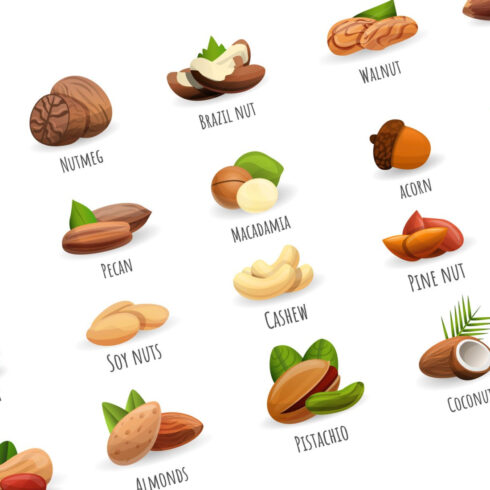 Nut Icon Set, Cartoon Style – MasterBundles