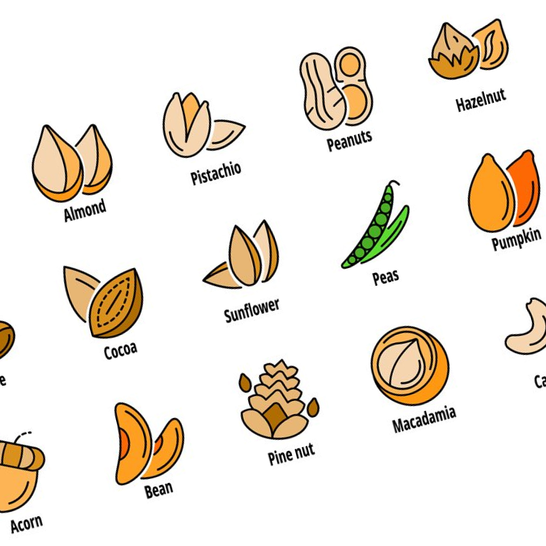 Nut icon set line color vector cover.