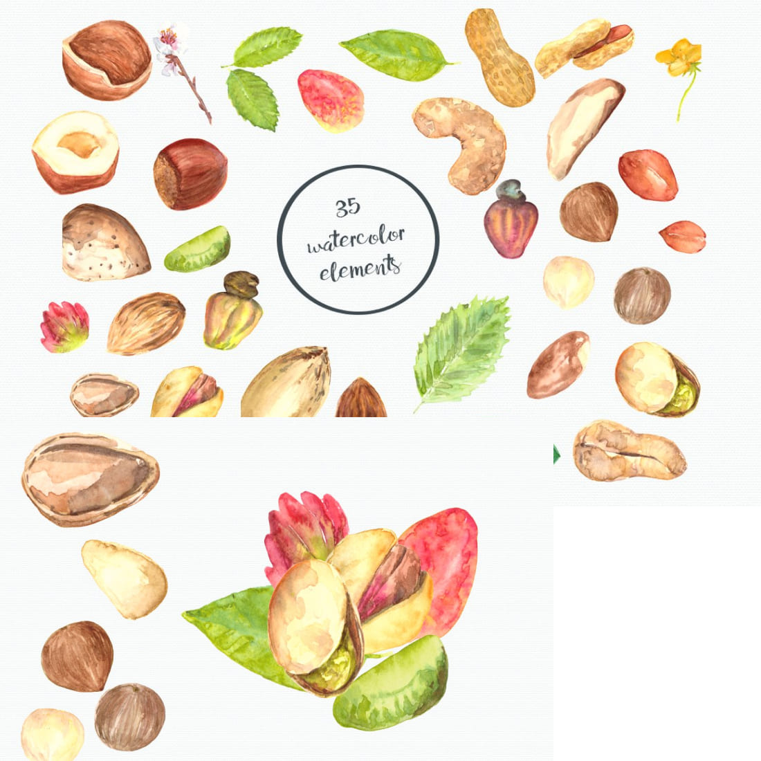 Nuts - Watercolor Clip Art Set cover.