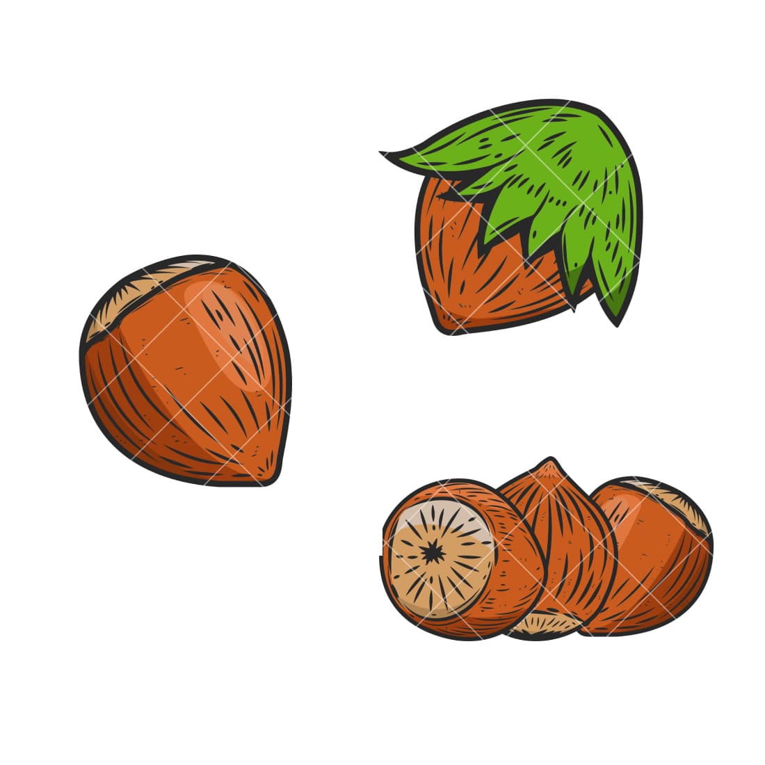 Set Of Hazelnuts Icons Isolated On White Background Svg, Png Cover.