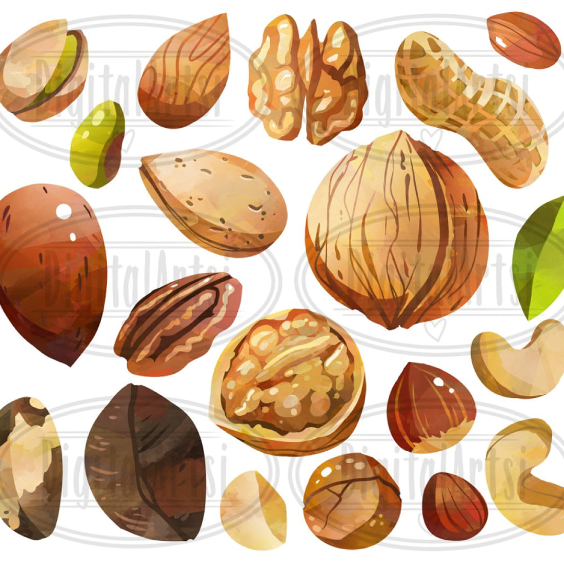 Watercolor Nuts Clipart cover.