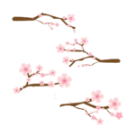 Japanese Cherry Blossom T-Shirt Designs – MasterBundles