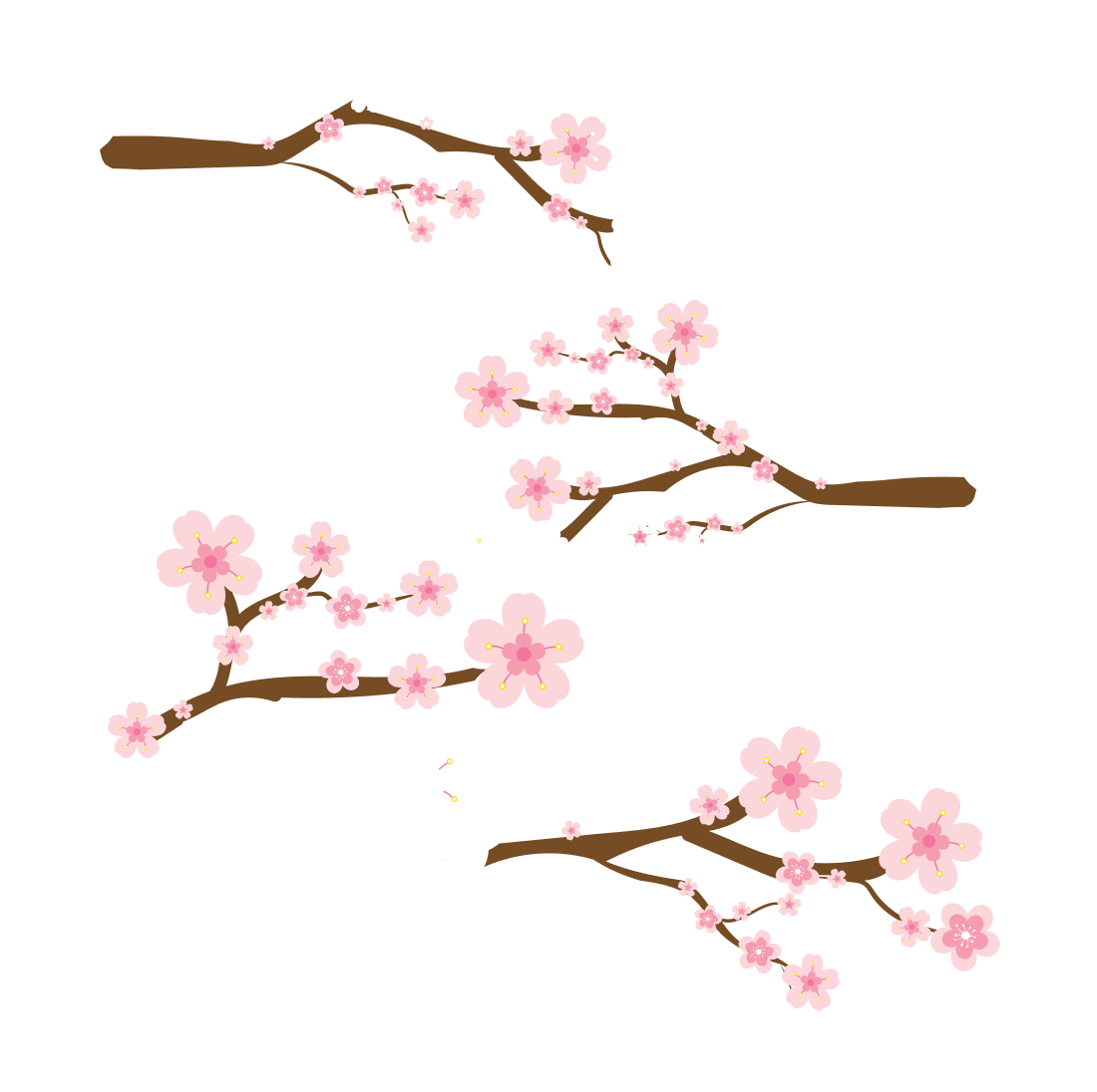 Japanese cherry blossom svg cover.