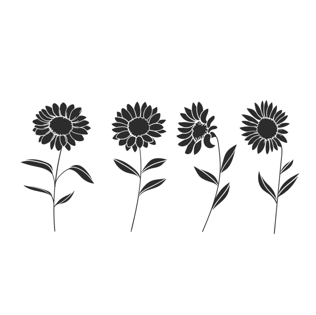 Silhouette Sunflower SVG Designs – MasterBundles