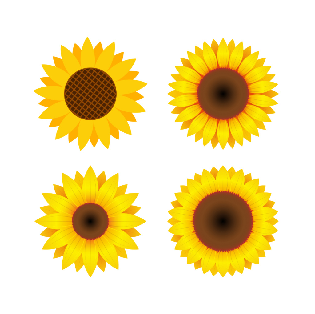 Simple Sunflower SVG Files – MasterBundles