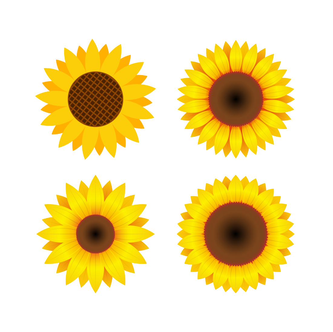simple sunflower svg cover.