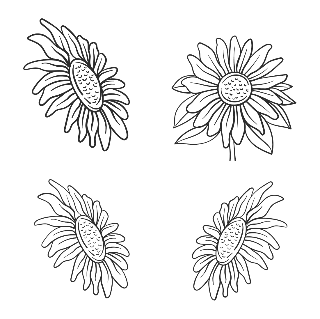Sunflower SVG Black and White cover.