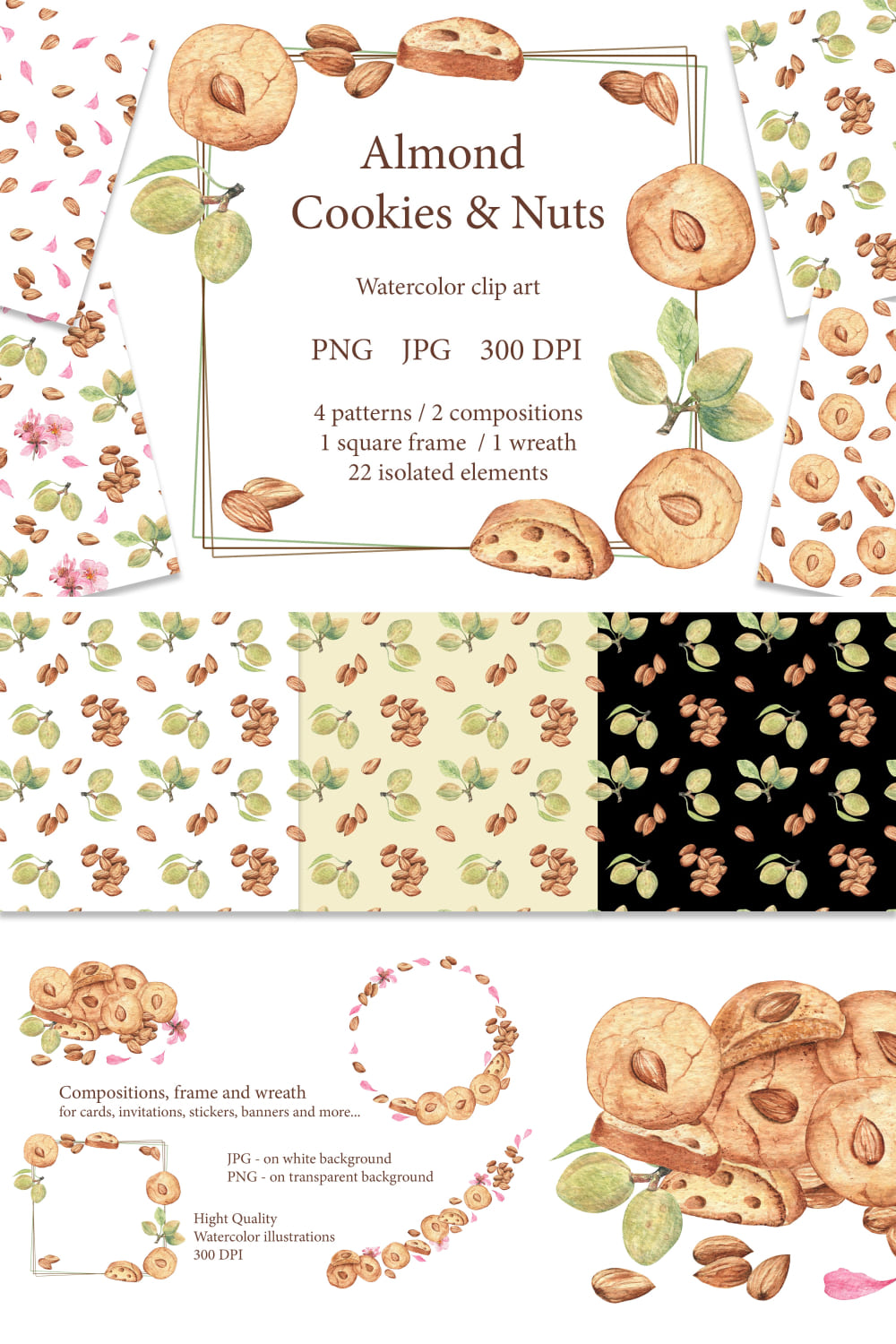 03 almond cookies and nuts. watercolor clip art and patterns. 1000x1500 629