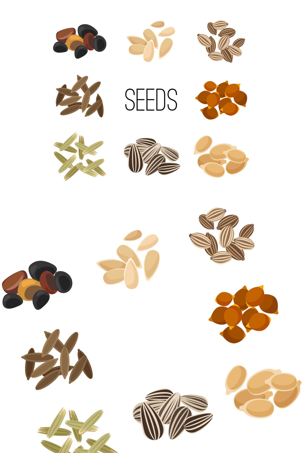 03 grains and seeds isolated on white background 1000x1500 449