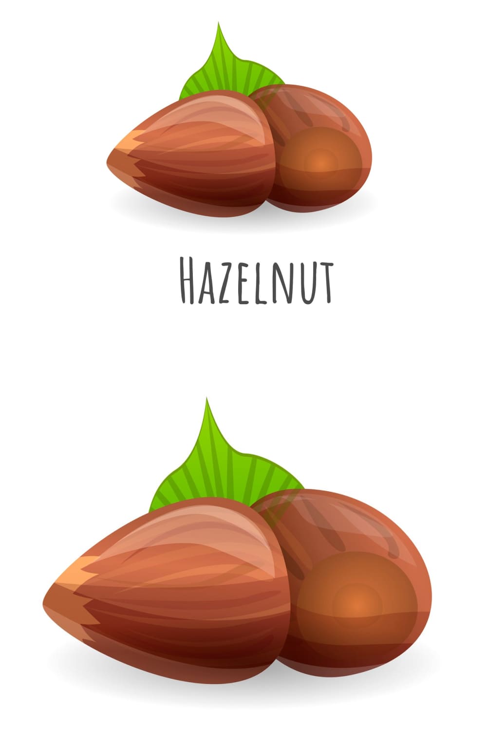 Hazelnut Icon, Cartoon Style - Pinterest.