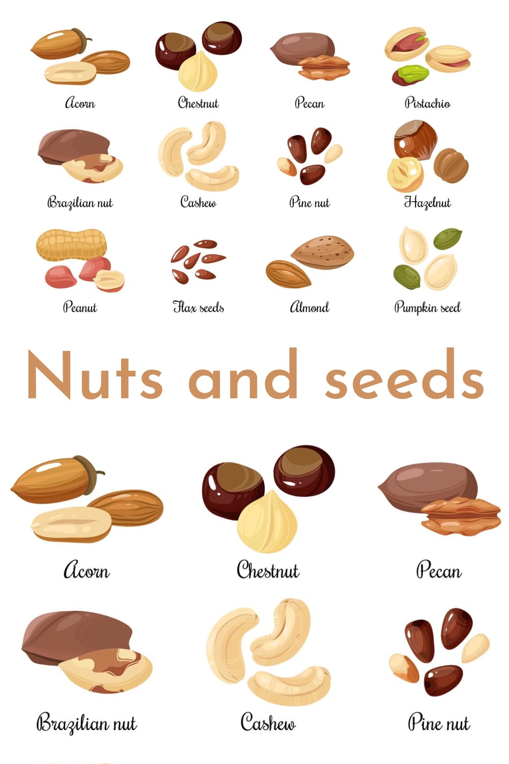 Nuts And Seeds. Almond And Pistachio, Acorn And Peanut, Chestnut, And Pecan - Pinterest.